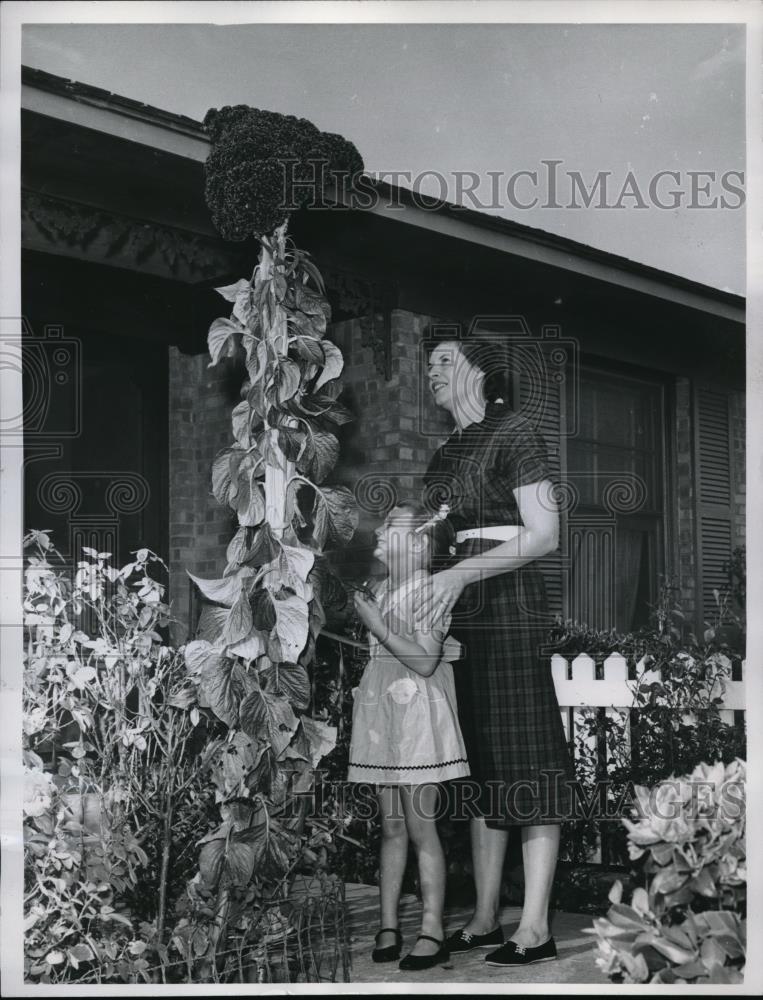 1960 Press Photo Dallas, Tx Mrs WR Tucker &amp; daughter Kim &amp; Cock&#39;s Comb plant - Historic Images