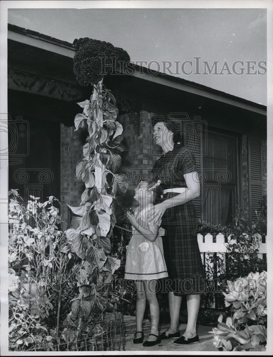 1960 Press Photo Dallas, Tx Mrs WR Tucker & daughter Kim & Cock's Comb plant - Historic Images