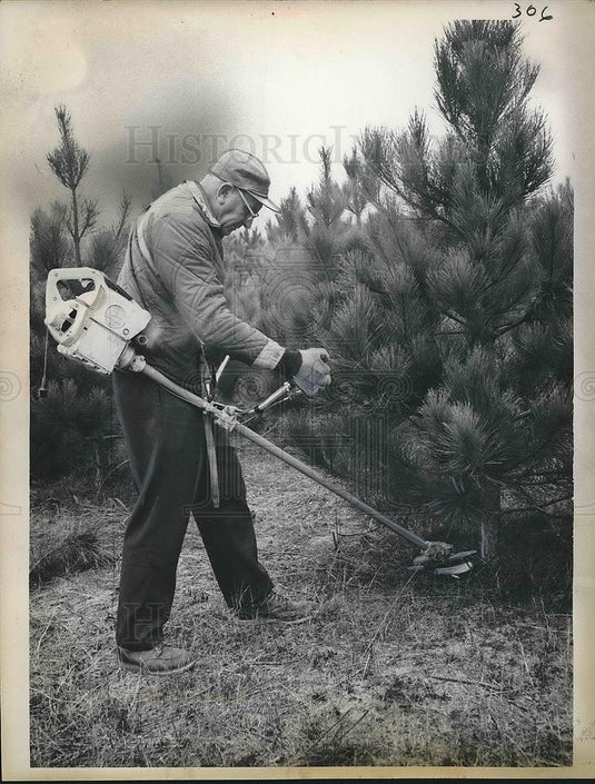 1962 Press Photo Dr. William Blum, Head of Blum Trees Cuts Christmas Tree - Historic Images