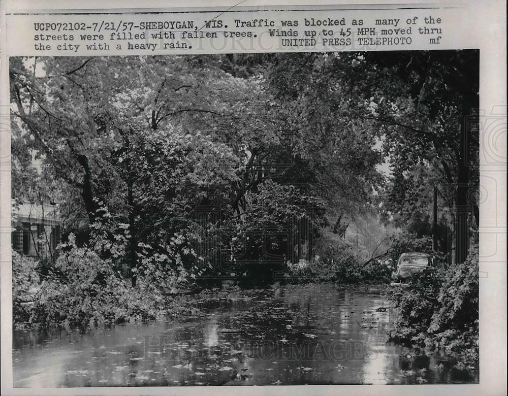 1957 Press Photo Street Scene with Fallen Trees and Rain in Sheboygan, WI - Historic Images