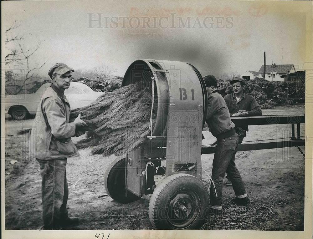 1962 Press Photo Waupaca Wisconsin Evergreen trees bundling Machine - Historic Images