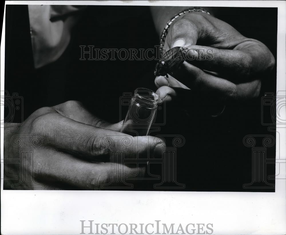 1968 Press Photo Inspectors Record All Intercepted Pests For Identification - Historic Images