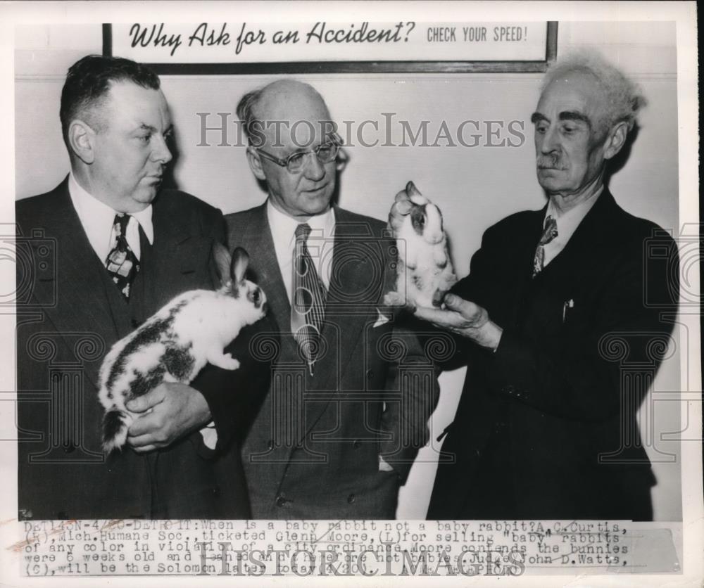 1950 Press Photo Detroit, Mich AC Curtis,G Moore, J watts &amp; baby bunnies - Historic Images