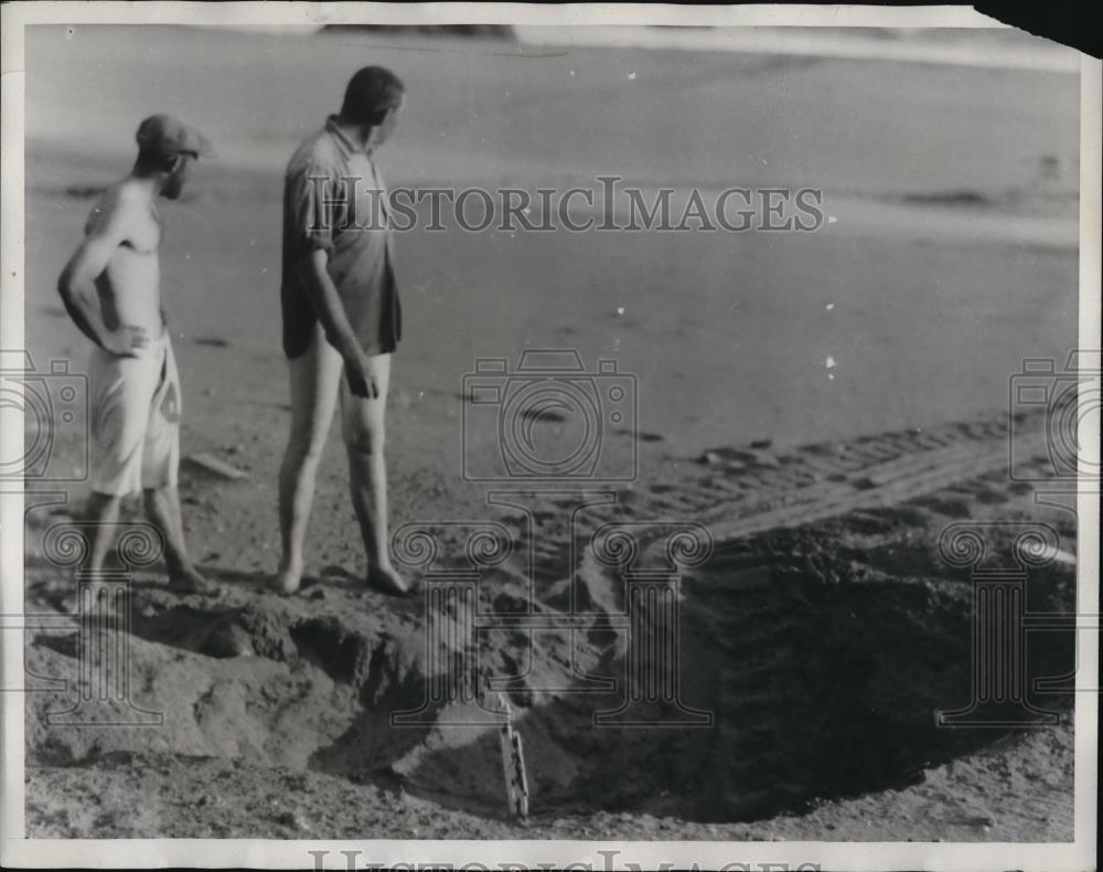 1929 Press Photo South Trinidad Hesley Culer turtles nest - neb48747 - Historic Images