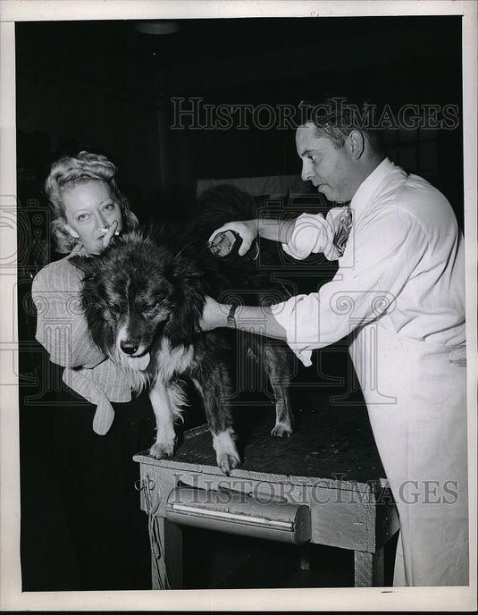 1946 Press Photo Mrs Nola Reese, Dr MS Bramley & Tarzan the dog - neb48468 - Historic Images