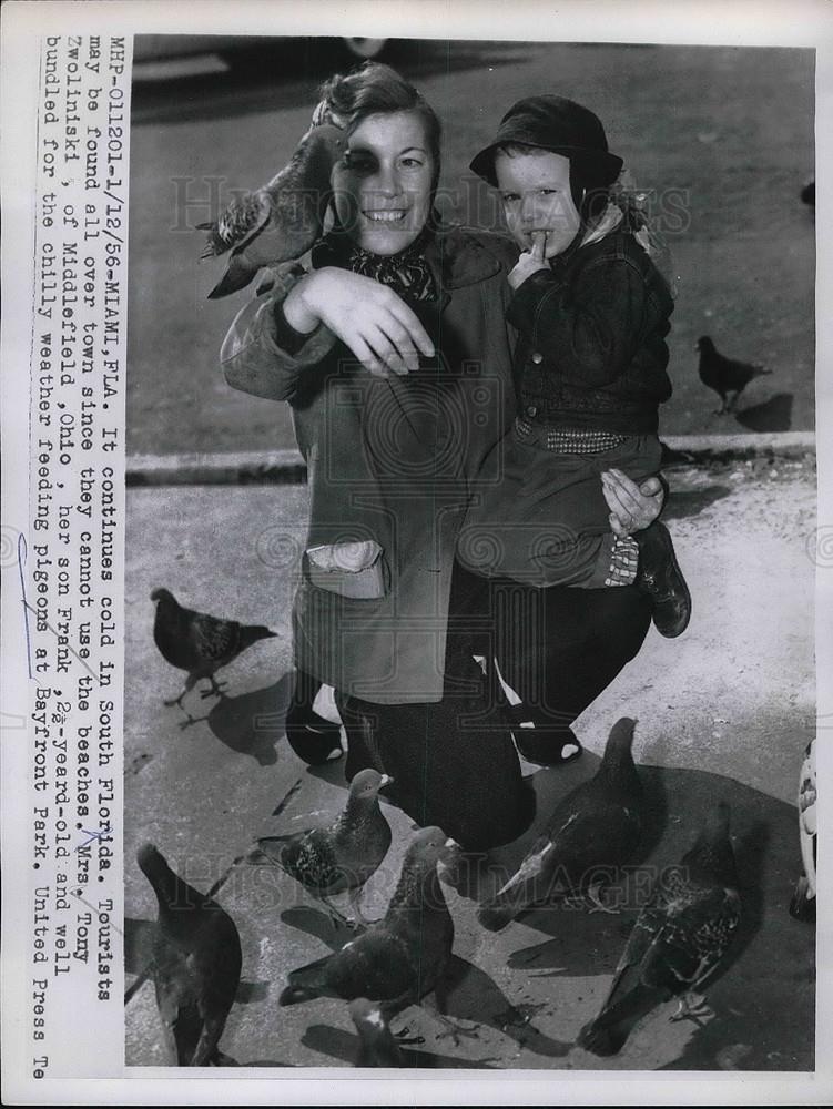 1956 Press Photo Miami Pigeons at bayfront Park - Historic Images