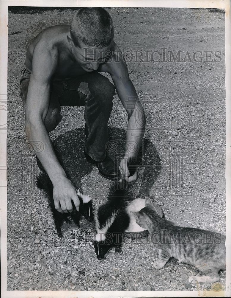 1962 Press Photo McCune,Kan. Jim Huff &amp; pet skunk &amp; cat he rescued - neb48541 - Historic Images