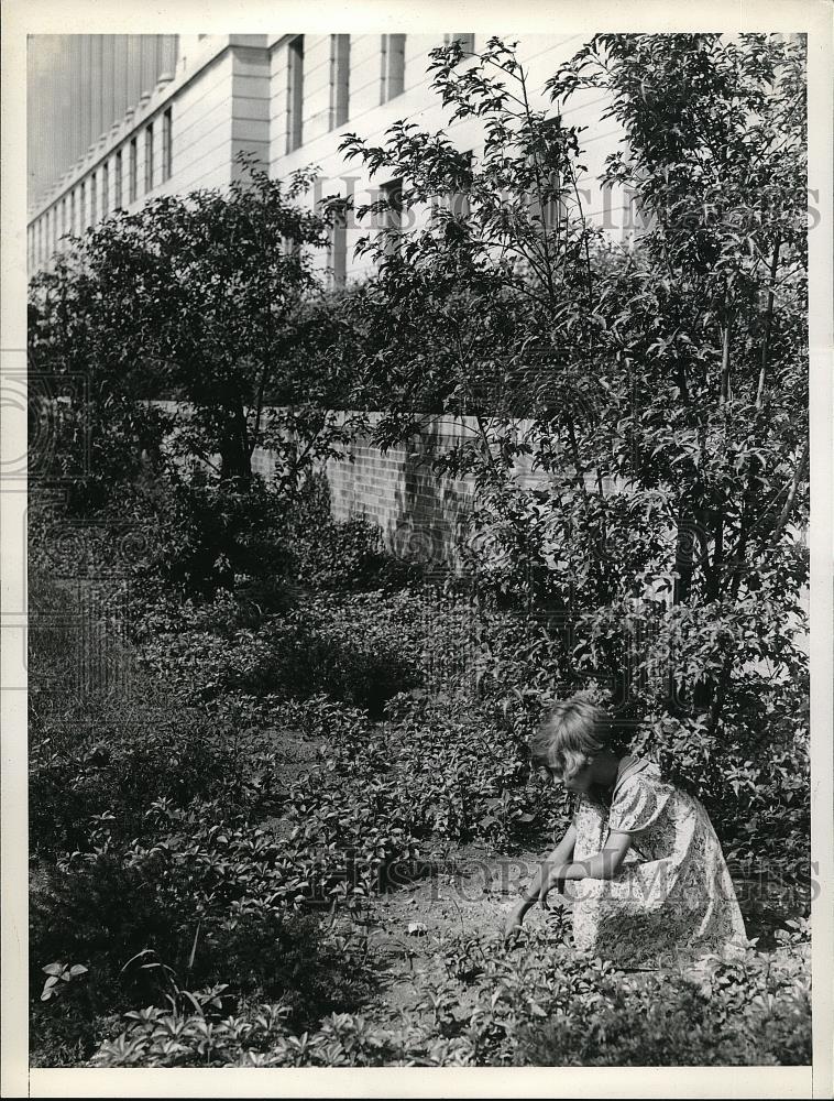 1938 Press Photo Margaret herbert in gardens at USDA bldg in Wash.D.C. - Historic Images