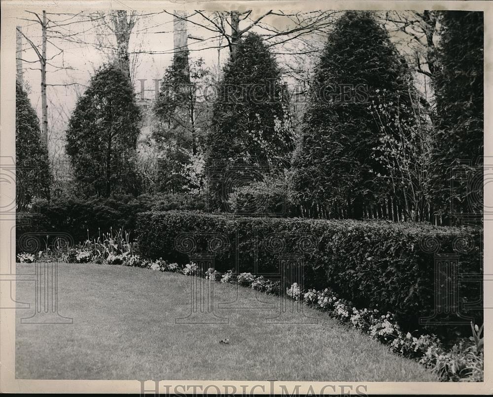 1950 Press Photo Garden of Mr. &amp; Mrs. Thoburn Mills in Union Heights - neb48123 - Historic Images