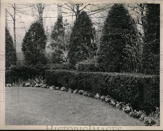 1950 Press Photo Garden of Mr. & Mrs. Thoburn Mills in Union Heights - neb48123 - Historic Images