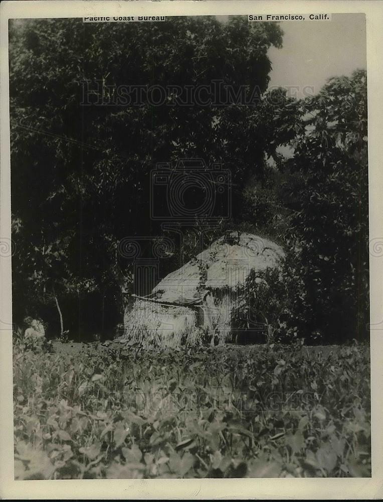 1926 Press Photo Hawaiian Grass Hut Owned by Mrs. Lucia Maekena - Historic Images