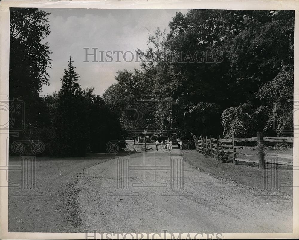 1950 Press Photo Part of Garden Tour of Long Drive Into Leonard Hanna Home - Historic Images