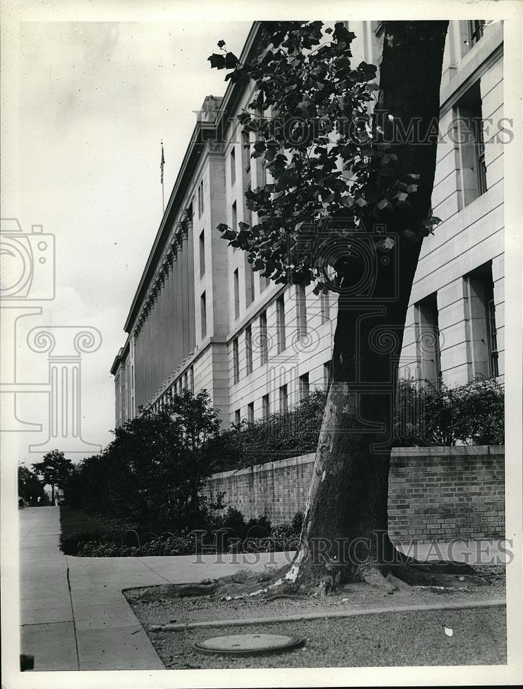 1938 Press Photo Trees at the D.C. Argriculture building - neb48450 - Historic Images