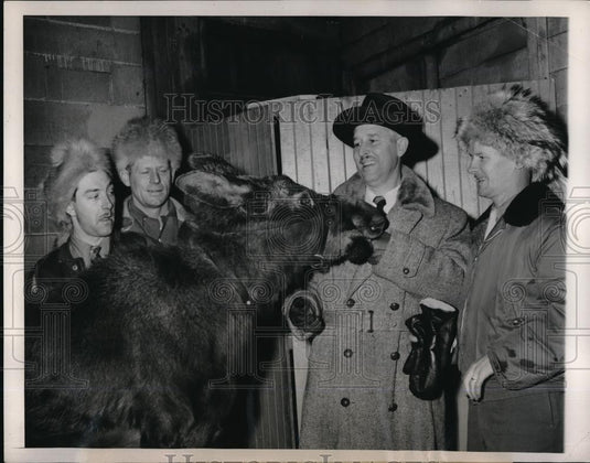 1950 Press Photo Chicago, Ill Lincoln park zoo director Marlin Perkins & a moose - Historic Images