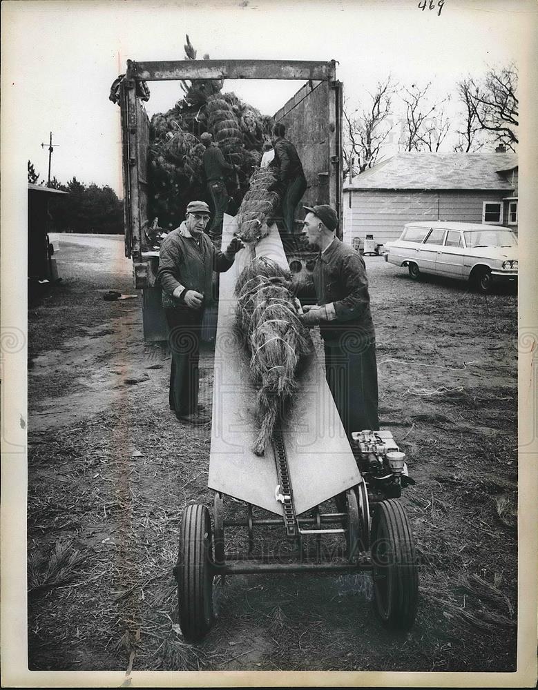 1962 Press Photo Evergreen Trees Loaded Onto Blum Trees Inc. Trucks - Historic Images