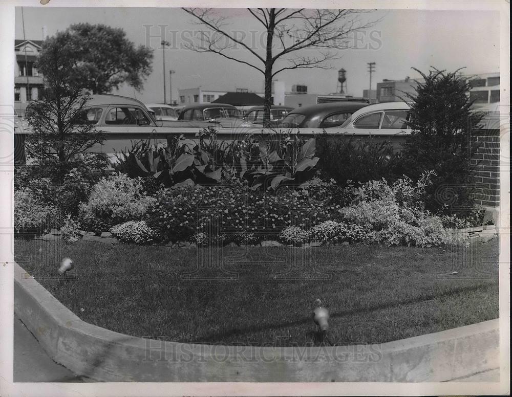 1952 Press Photo Flowers Blooming in Front of Perry House Parking Lot - Historic Images