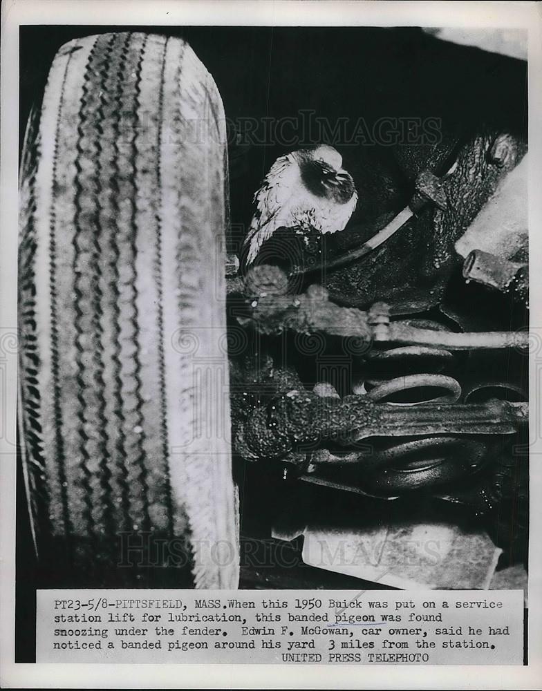 1963 Press Photo Banded Pigeon found in Buick Fender Edwin McGowan - neb13895 - Historic Images