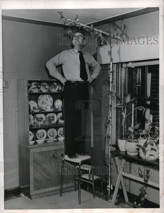 1957 Press Photo Patrolman Floyd Sliter with Exotic Vine in his St. Louis Home - Historic Images