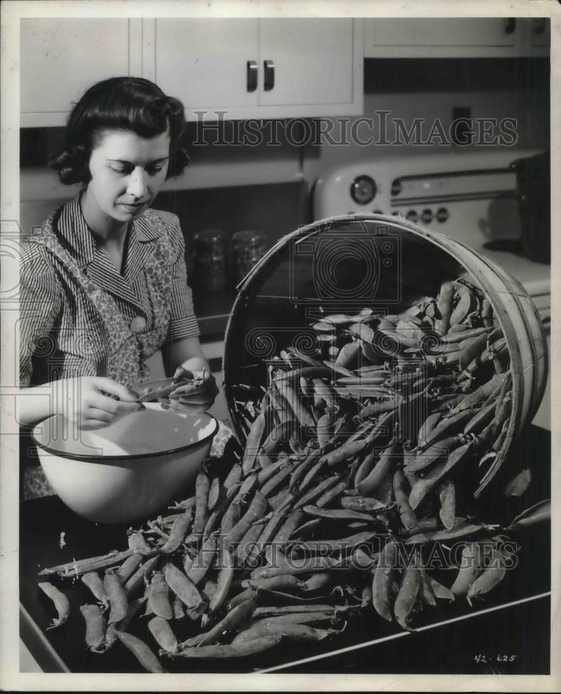 1946 Press Photo Pea Farming Sorting - neb52341 - Historic Images