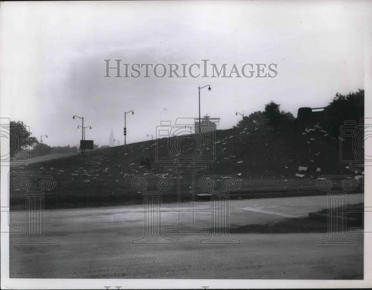 1958 Press Photo LItter at Edgewater Park - neb52486 - Historic Images