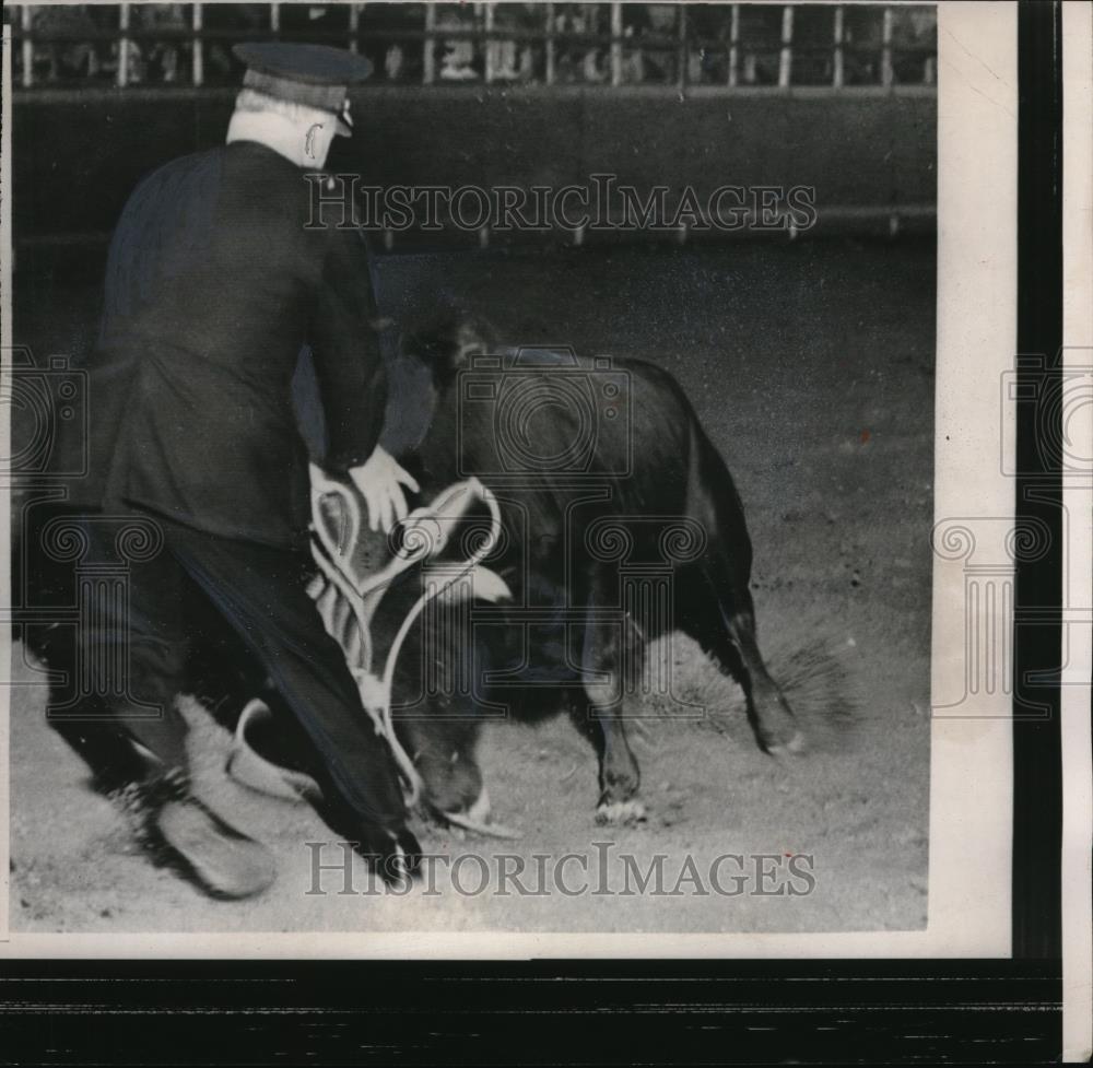 1958 Press Photo Police Chief John L. Hunter Bullfight Canada - neb51180 - Historic Images