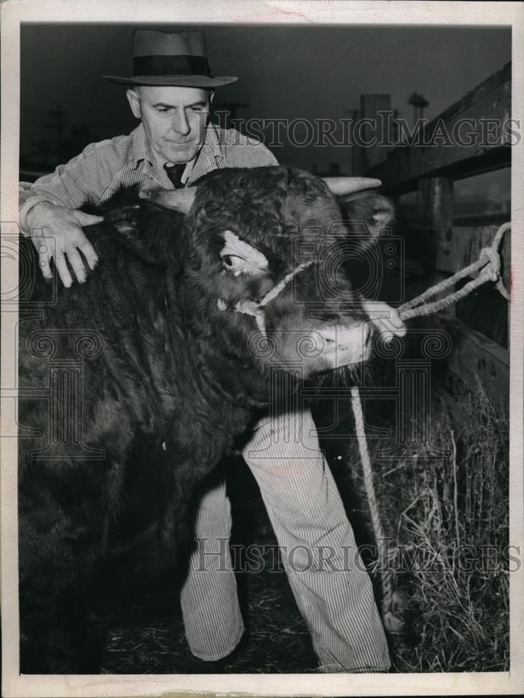 1944 Press Photo Charles H. Schaeffer with a shorthorn valued at $7,000 - Historic Images