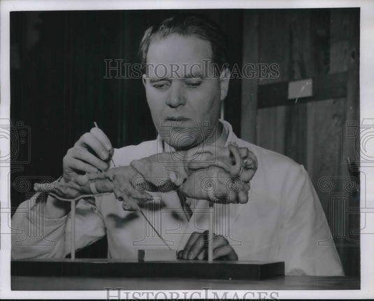 1954 Press Photo Dr Erik Jarvil & model of fish Iktyostegid in Stockholm - Historic Images