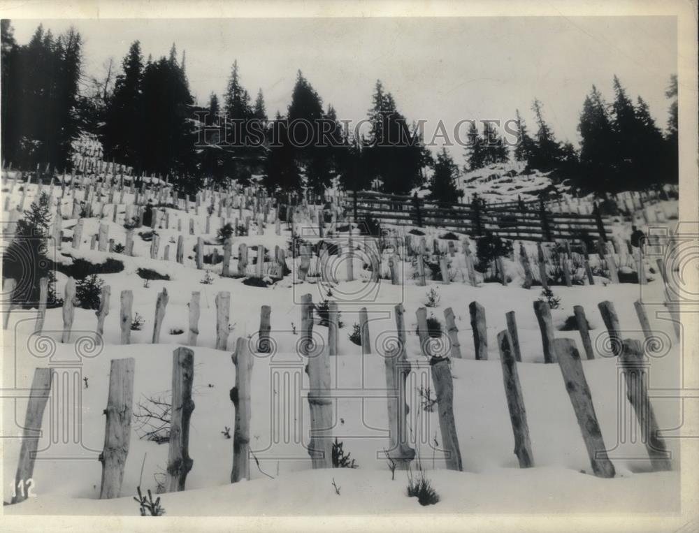 1944 Press Photo Swiss Federal RR avalanche barricades erected - neb51937 - Historic Images