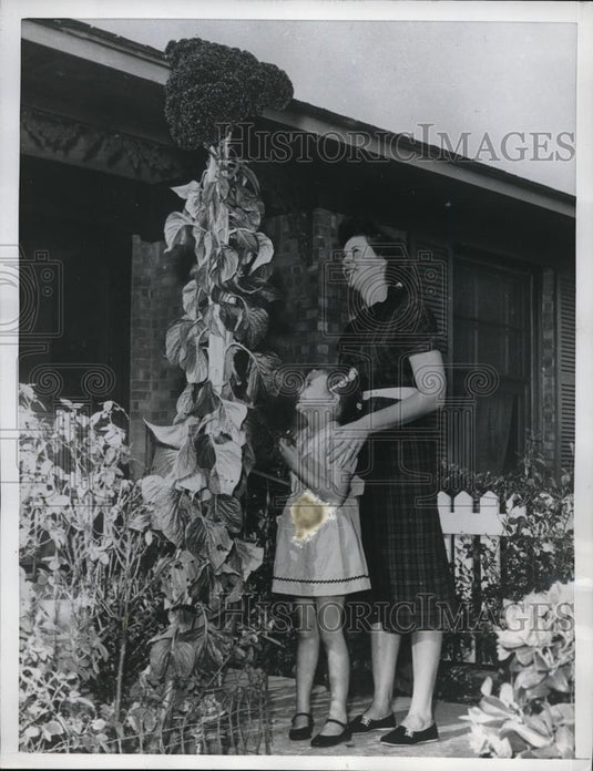 1960 Press Photo Mrs. Wallace Tucker & Daughter Kimberly Jean, Cock's Comb Plant - Historic Images