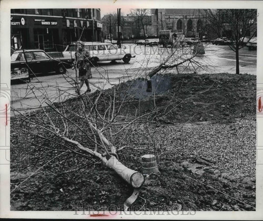 1973 Press Photo Mini Park Eulid Avenue at Mayfield - neb52491 - Historic Images