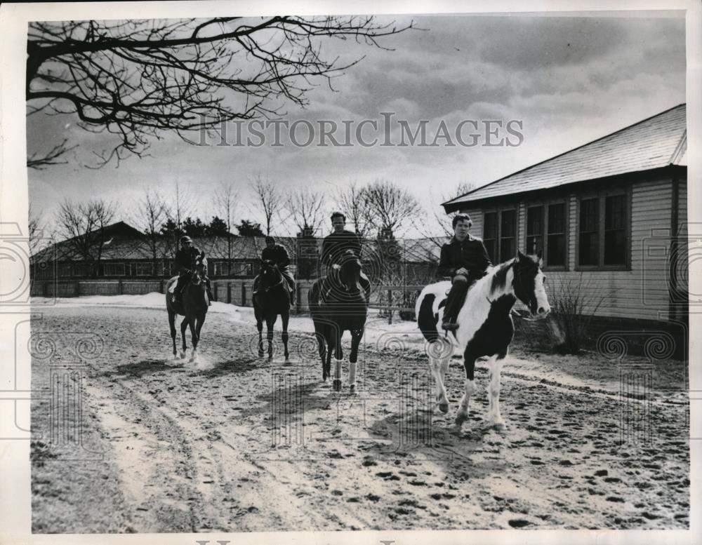 1947 Press Photo NYC, 2 yr olds at Belmont Park racetrack for workouts - Historic Images