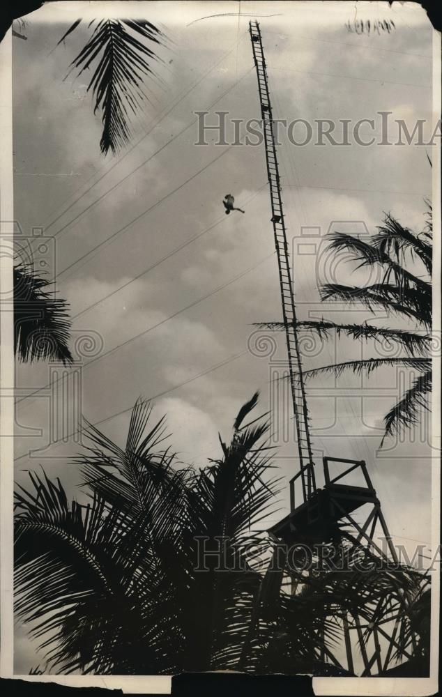 1931 Press Photo Tom Sellers of England completing 150 foot dive in Miami Beach - Historic Images