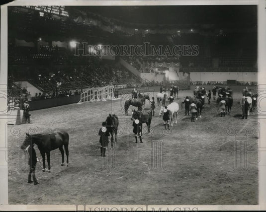 1933 Press Photo Ladies Hunters class at Horse Show in NY - Historic Images