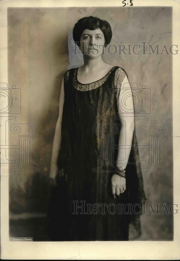 1929 Press Photo Mrs. William D. Mitchell, wife of Solicitor General of U. S. - Historic Images