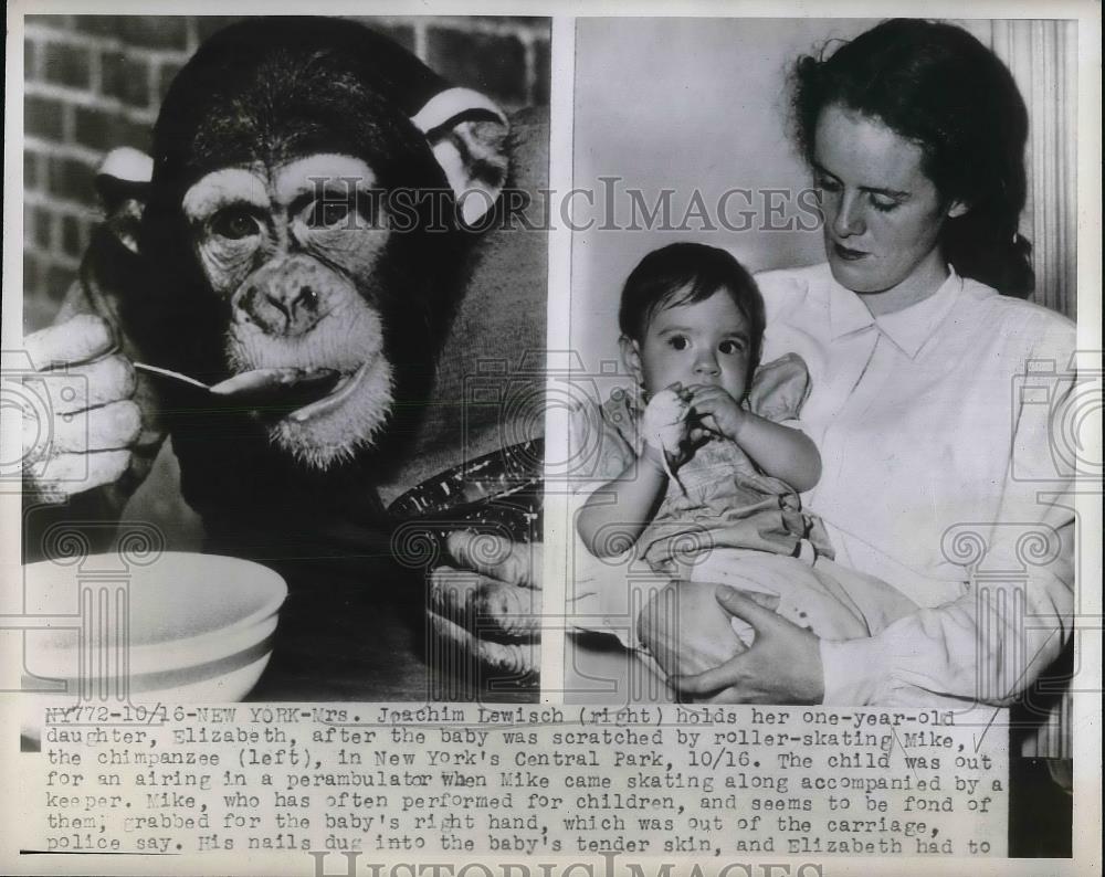 1947 Press Photo Mrs. Joachim Lewisch &amp; Daughter Elizabeth Scratched by Chimp - Historic Images