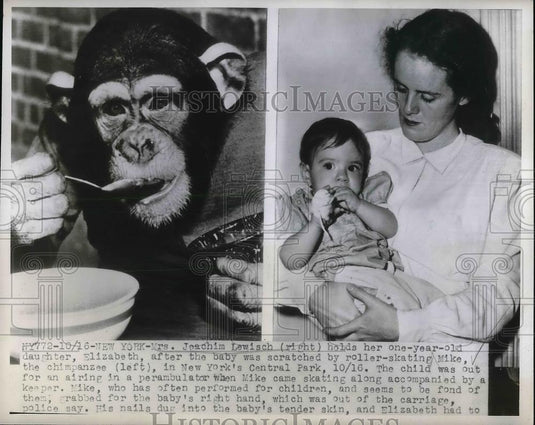 1947 Press Photo Mrs. Joachim Lewisch & Daughter Elizabeth Scratched by Chimp - Historic Images