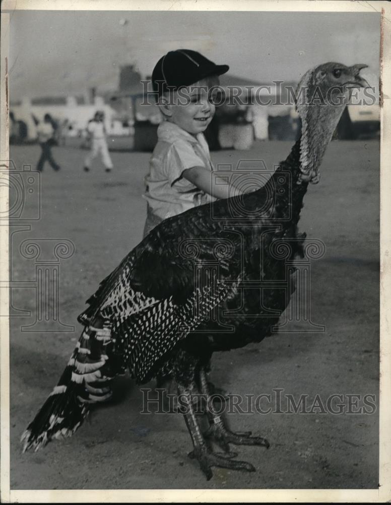 1939 Press Photo Romona, Calif. Jimmie Jensen &amp; a turkey weighing 49 lbs - Historic Images