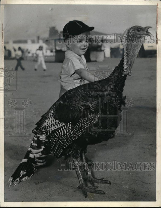 1939 Press Photo Romona, Calif. Jimmie Jensen & a turkey weighing 49 lbs - Historic Images