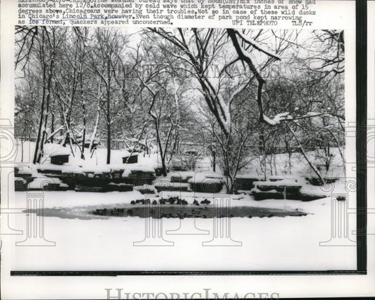 1958 Press Photo Chicago's Lincoln Park - neb50952 - Historic Images