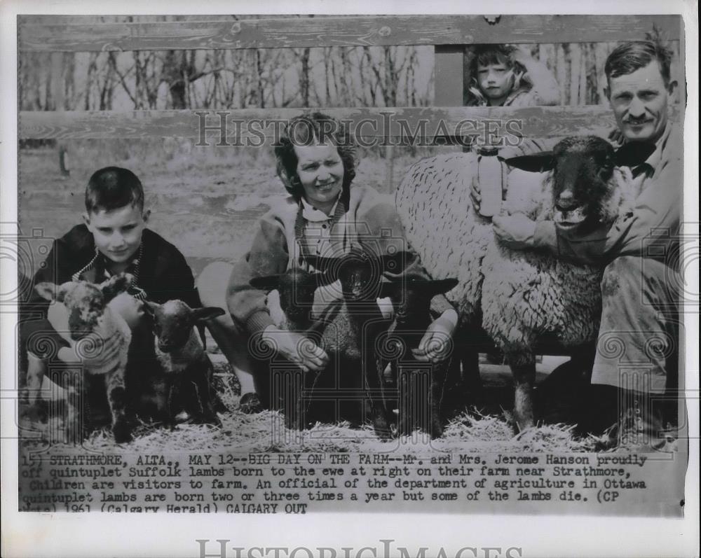 Press Photo Strathmore, Alta. Mr s&amp; Mrs Jerome Hanson &amp; kids with their sheep - Historic Images