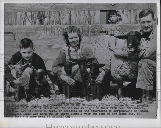 Press Photo Strathmore, Alta. Mr s& Mrs Jerome Hanson & kids with their sheep - Historic Images