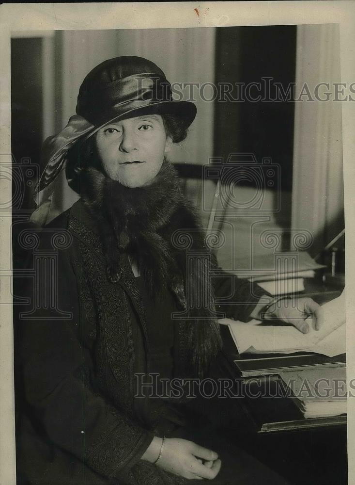 1923 Press Photo Mrs. Jacob Riis of New York - Historic Images