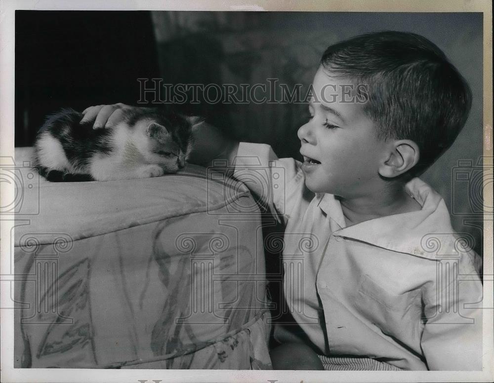 1951 Press Photo Christie Fisher &amp; kitten in Cleveland, Ohio - Historic Images