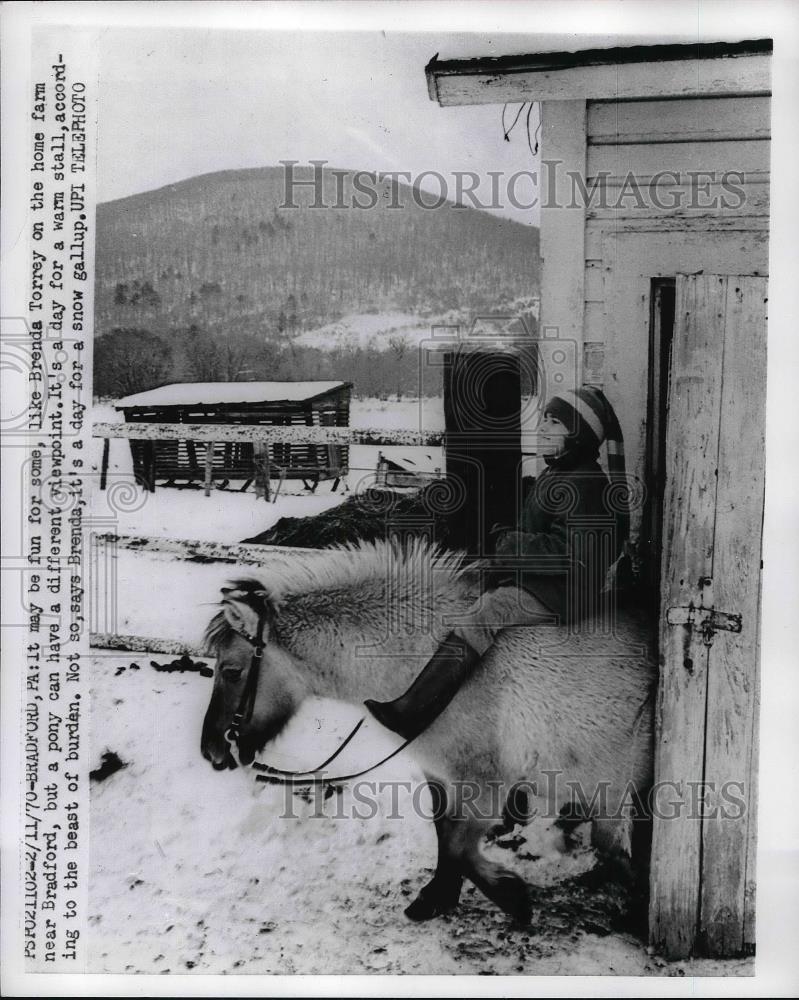 1970 Press Photo Brenda Torrey Rides Pony On Her Family&#39;s Farm - Historic Images