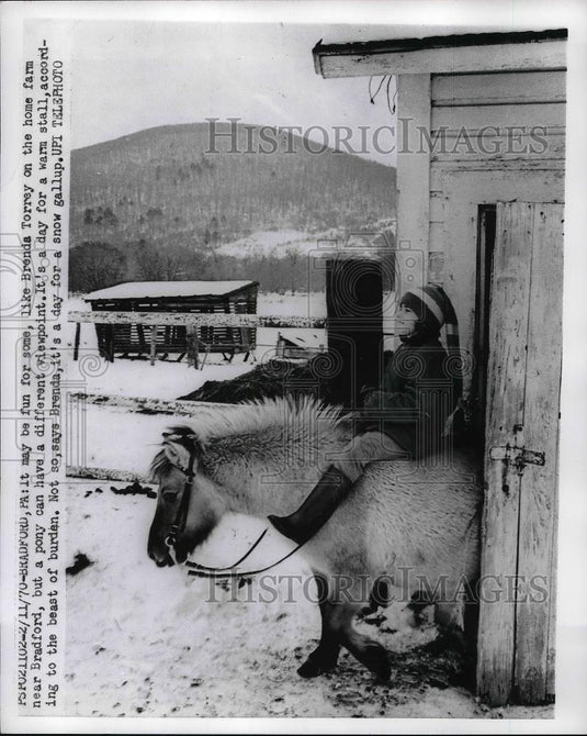 1970 Press Photo Brenda Torrey Rides Pony On Her Family's Farm - Historic Images