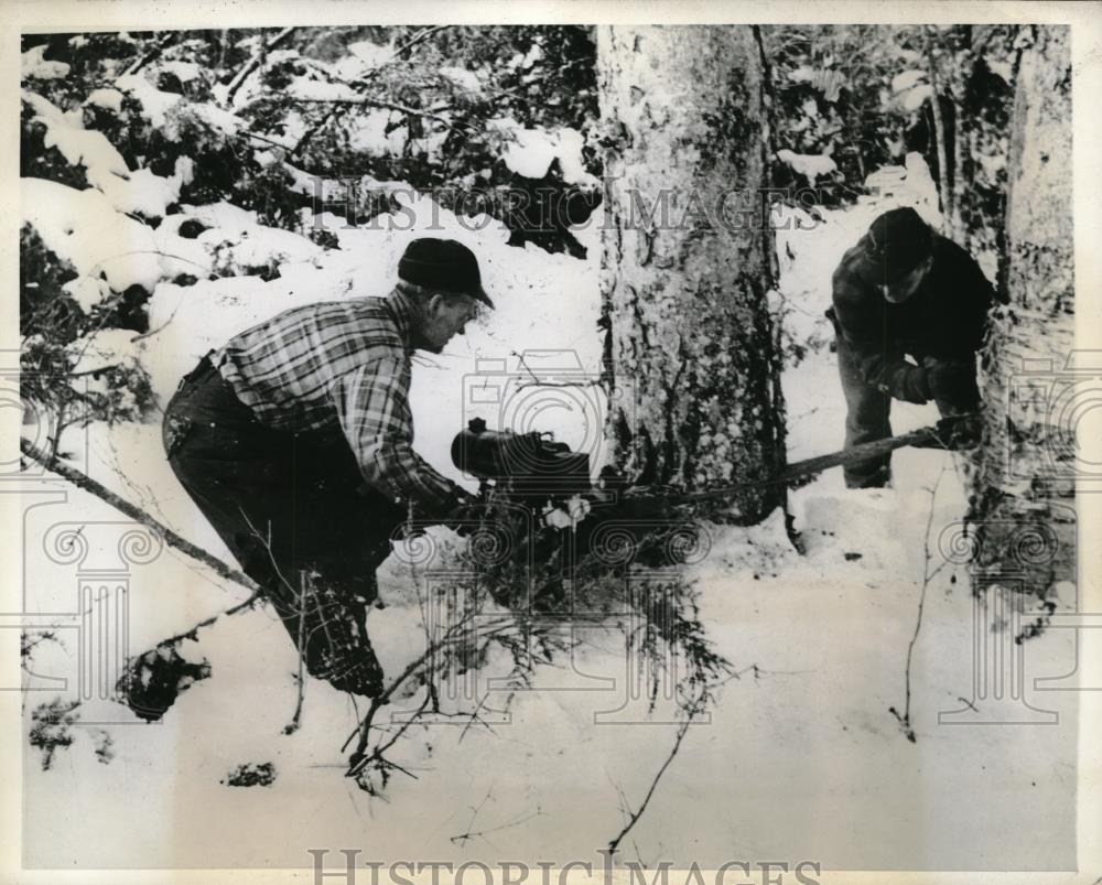 1943 Press Photo Lumberjacks with new gas saw in North Woods of Mich & Minn. - Historic Images