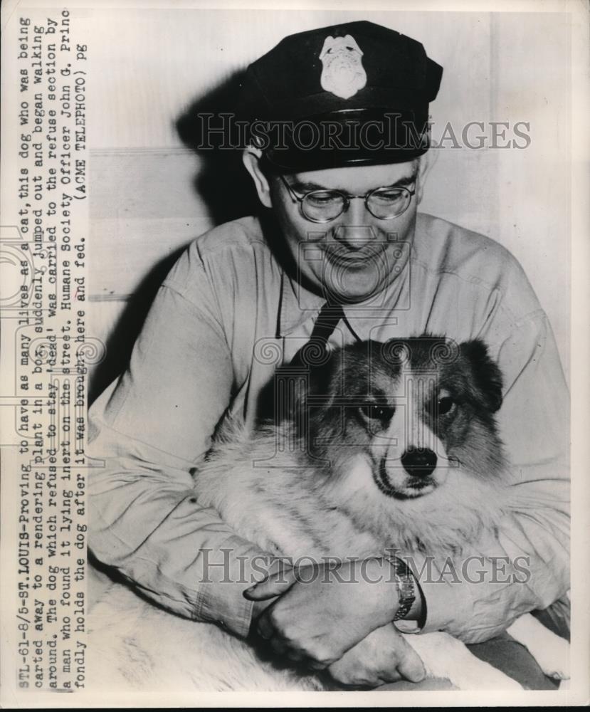 1949 Press Photo Humane Society Officer John G. Prino With Dog Brought to Life - Historic Images