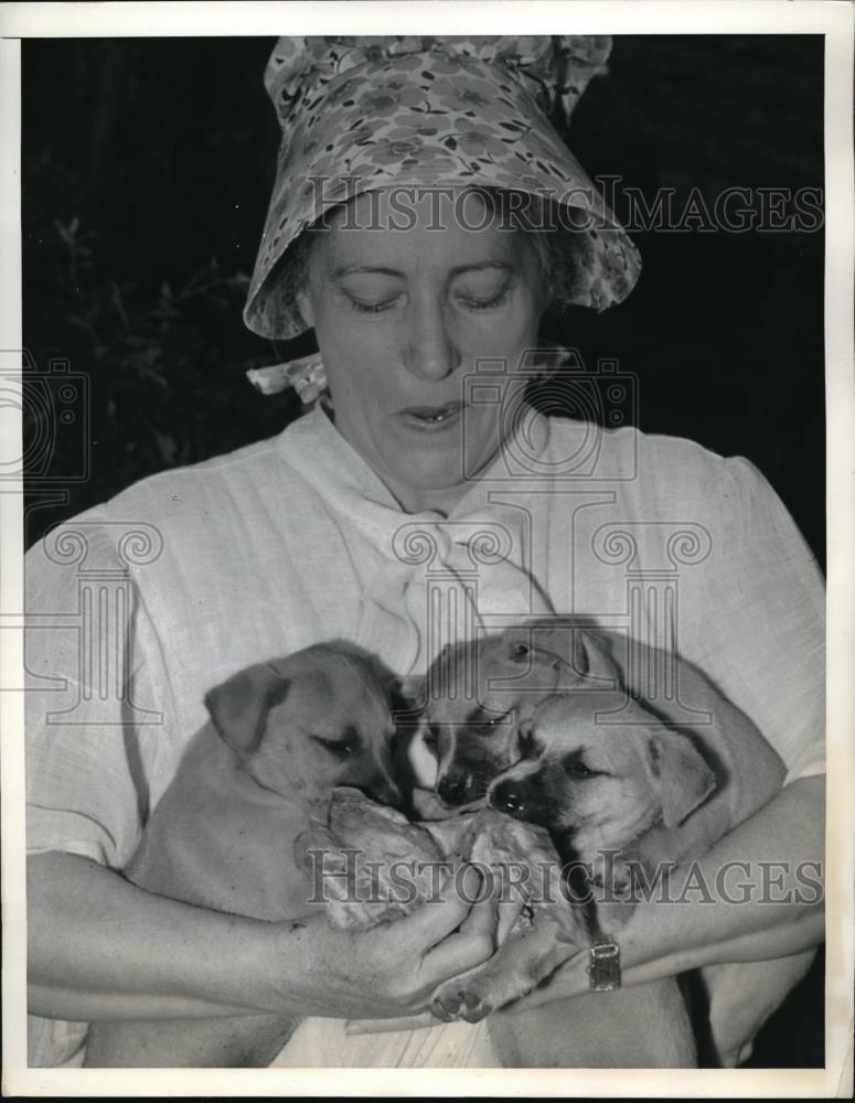 1941 Press Photo Mrs. Hattie Pannock with Three Puppies on National Dog Day - Historic Images