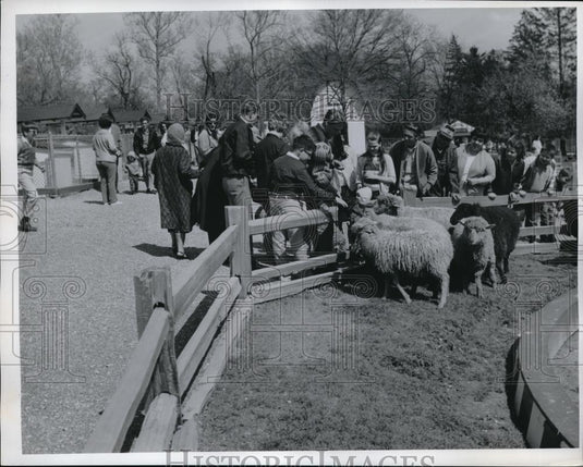 Press Photo Grants Farm St. Louis Missouri - Historic Images