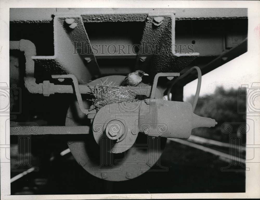 1945 Press Photo Barrington, Ill a robion built nest beneath a RR car - Historic Images